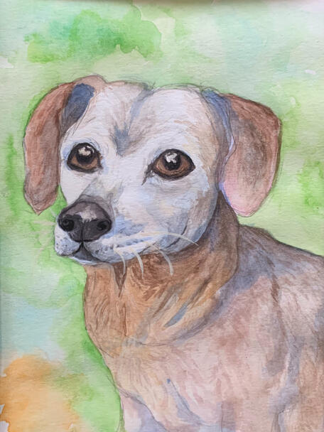 Peanut - Gouache