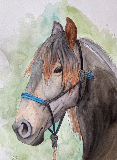 Watercolor and pen