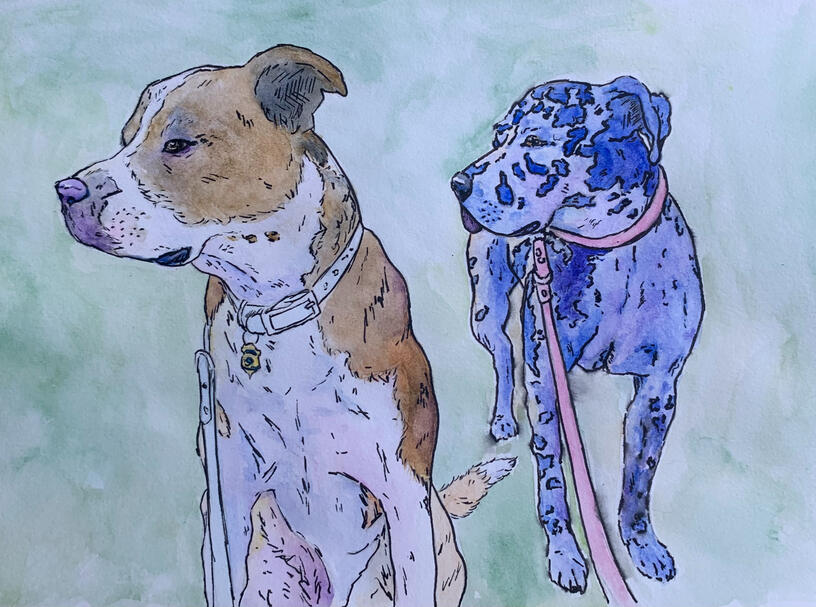Winston & Rue - Watercolor & Pen