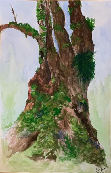 Great Leave Maple - Gouache