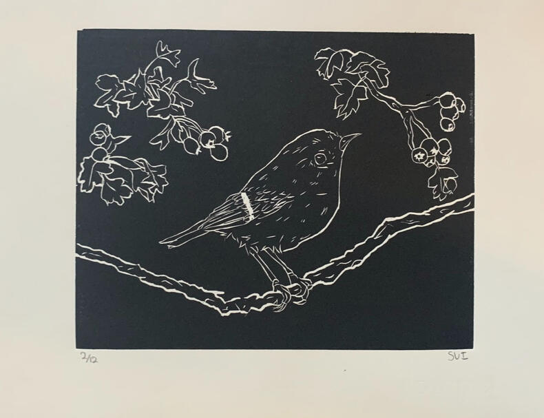 Ruby Crowned Kinglet - Block Print