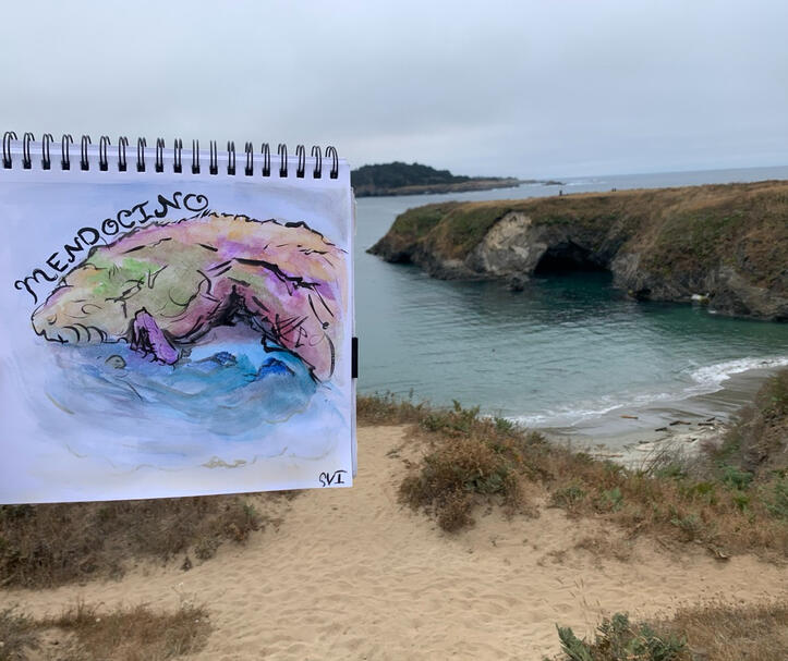 Mendocino Headlands - Gouache