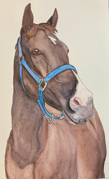Spartan - Watercolor & Pen