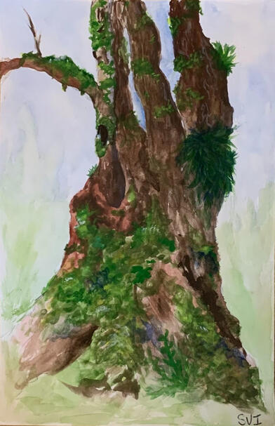 Great Leave Maple - Gouache
